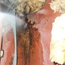 화성목욕탕 이미지