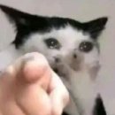 세븐일레븐 부산대연용소로점 | [카페인설탕숲]부산 대연 경성대부경대 두바이쫀득쿠키 두쫀쿠 내돈내산 솔직후기 신상 두쫀쿠 카페 웨이팅