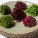 씨그린주식회사 이미지