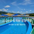 정푸드구내매점 | 2026년 칠곡보 야외 물놀이장 오픈 직접 다녀온 후기