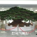 절라도땅 이미지