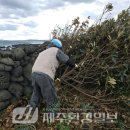 행원환해장성 이미지