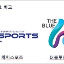 팀케이스포츠