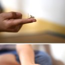 오물딱조물딱 네이버블로그
