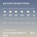 원주굽이길 8코스 흥원창길 | 25년 3월 이야기, 27일은 개양귀비와 함께 비라도 좀 내리기를, 그리고 비인두암 재재재발도 항암치료로...