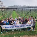 미래컨설팅 이미지