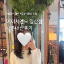 에이치앤드 일산점 | 내돈내산 봄맞이 염색후기