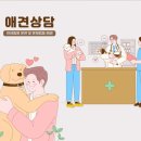 분당동물병원 이미지