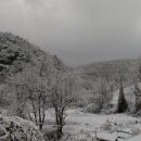 오리나들이 이미지