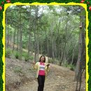 아진목장 이미지