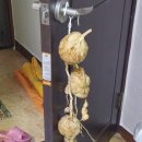 오사마리