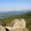 (주)금빛물고기 이미지