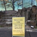 제주리조트 | 서귀포 리조트 제주 메타리움 리조트 숙소 후기