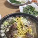 갑오갈비탕 | 울산 장생포 갈비탕 맛집 : 갑오갈비탕 내돈내산 솔직후기