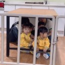 (주)아이누리 이미지
