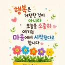 장녹수 Daum카페