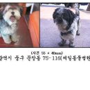 불도유치원 이미지