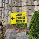 양평메추리농장 네이버블로그