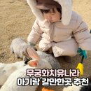 놀이나라 | 경기도 평택 아이랑 갈만한곳 무궁화치유나라 토끼체험 모래놀이 내돈내산 후기