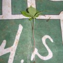 노두농장 이미지