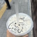 볼볼티 이미지