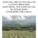 유니베라 단계대리점 | * 피부진정,보습엔 유니베라 스킨케어100으로 관리하세요