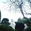 오륜대 한국순교자기념관 이미지