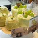 (주)에이에이블컴퍼니 수작 | 민지(+) 아 덥다더웡 더워 더워엉 엉 ?