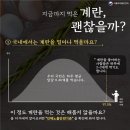 살충제 검출 계란 위해평가 결과지 이미지