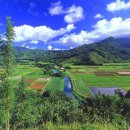 주생초등학교 이미지