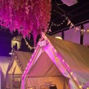 5198 | 세종맛집 도심 속 캠핑 분위기를 즐길 수 있는 반포 그릴 다녀온 솔직후기