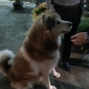 당진냉면갈비 이미지