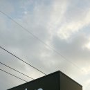 라이브제주