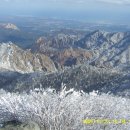 감자 바우 이미지