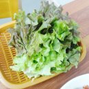 현주네삼겹살 네이버블로그