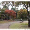 미디어 콘텐츠 활용 이미지