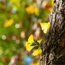 은행1공영주차장 이미지