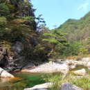 꿈꾸는유배지늡다리 이미지