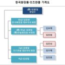 더샘인터내셔날 이미지