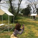 유빈목장 이미지