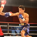 성산복싱체육관 이미지