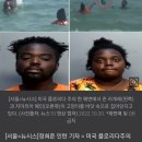 흑인 커플, 바다에서 새끼 고양이로 공놀이…"막고 싶으면 돈내라" 이미지