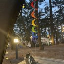 맹방비치캠핑장 이미지