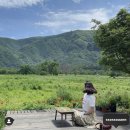 나리상회 이미지