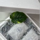 송치농장 | 송치즙 :) 더운 여름 '극강의 보양식'으로 유명한 송치즙 (주문예약)