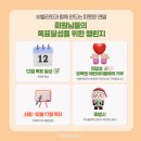 비벨라핏 이미지