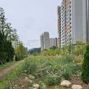 이번주 나의 행적 : 푸른수목원, 연천습지, 화악산, 평강식물원 꽃나들이
