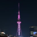 주식회사 오아시스카워시 | [나고야] 사카에 호텔 컴포트 인 나고야 위치좋은 숙소 추천, 내돈내산 숙소후기