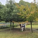 덕진목장 이미지