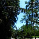 [여름]에 [혼자] 떠나는 6박 7일 현지부적응 [대만] 여행 # 3. 셋째 날 (고궁박물관, 단수이, 중정기념당) 이미지